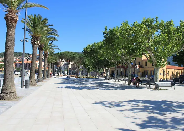 3 Pieces 6 Couchages Sur Bn330-045 Lejlighed Banyuls-sur-Mer